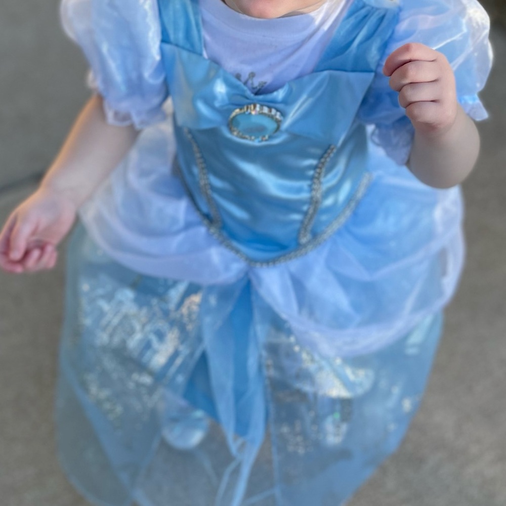 Cinderella Costume dress. Worn once